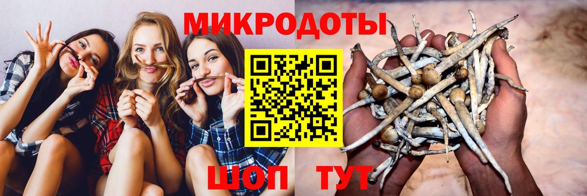 Псилоцибиновые грибы Cubensis Качканар
