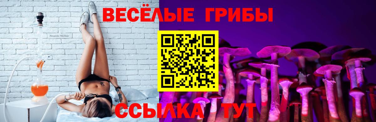 где найти   Вход с VPN  Качканар  Псилоцибиновые грибы MAGIC MUSHROOMS 